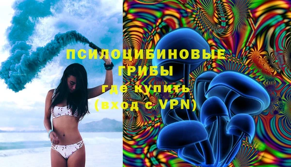 PSILOCYBIN Богородицк