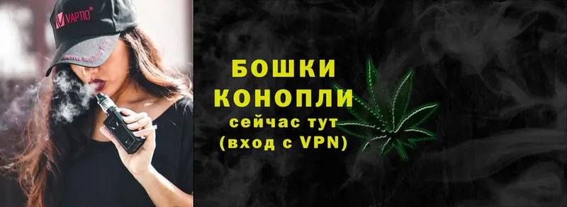 Каннабис OG Kush  Тырныауз 